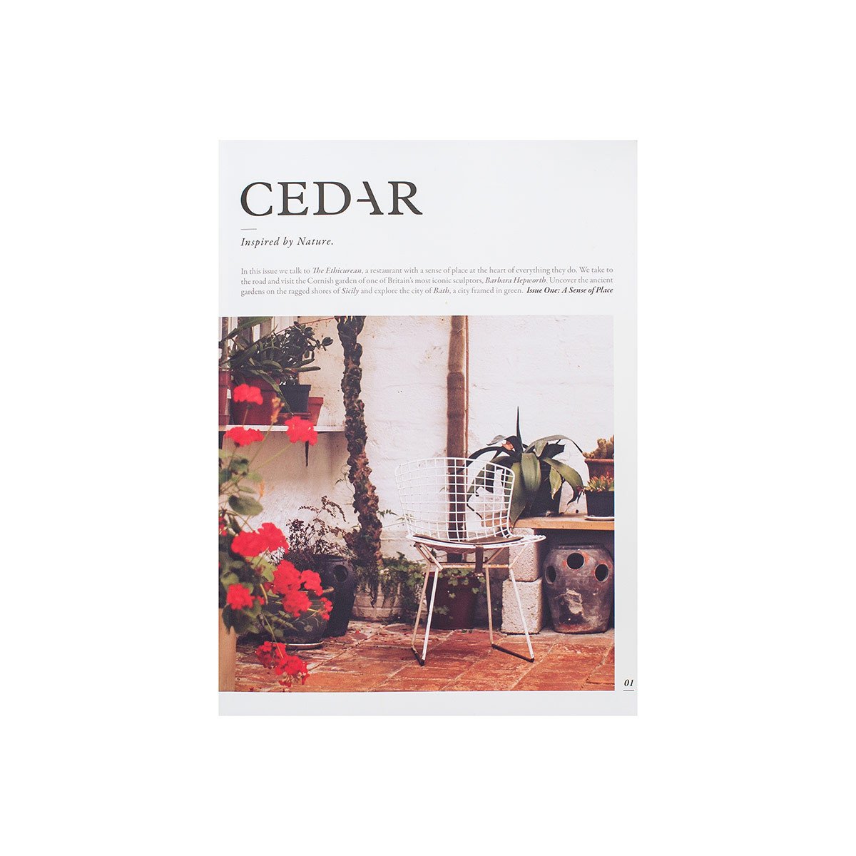 Cedar Magazine Issue 1