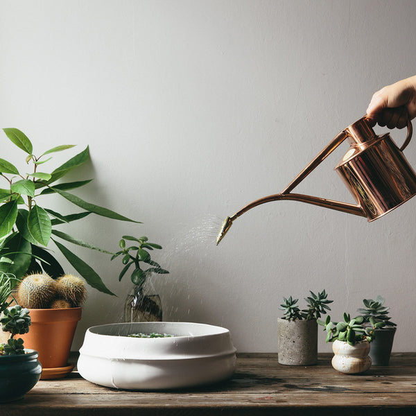 Copper Watering Can