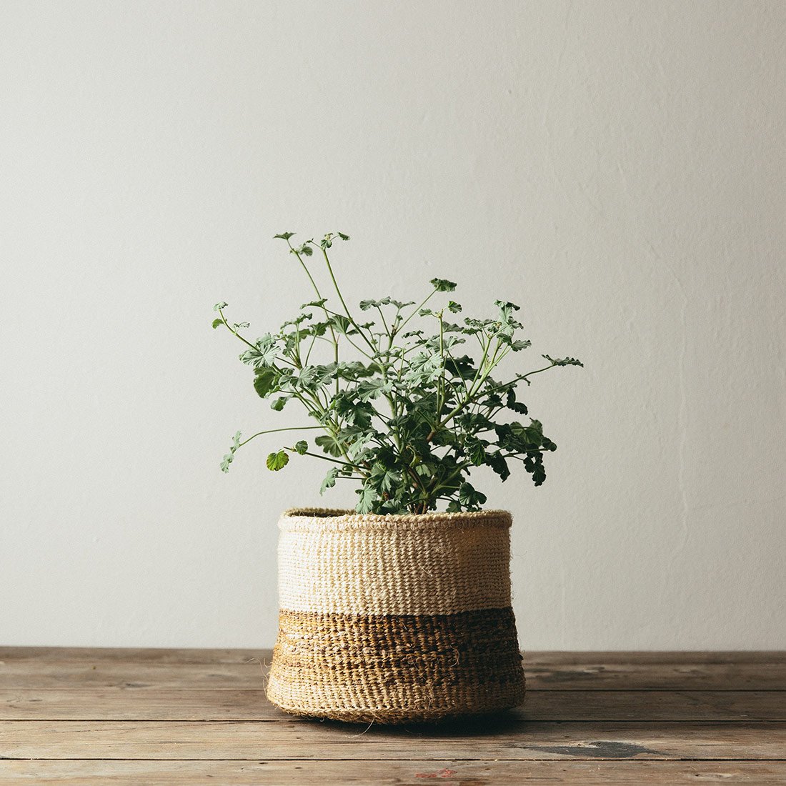 small woven baskets for plants Banana Fibre Woven Basket
