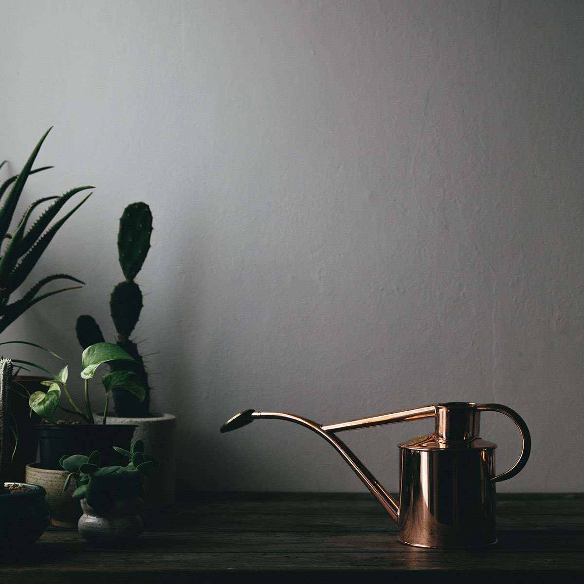 Copper Watering Can - The Future Kept - 4
