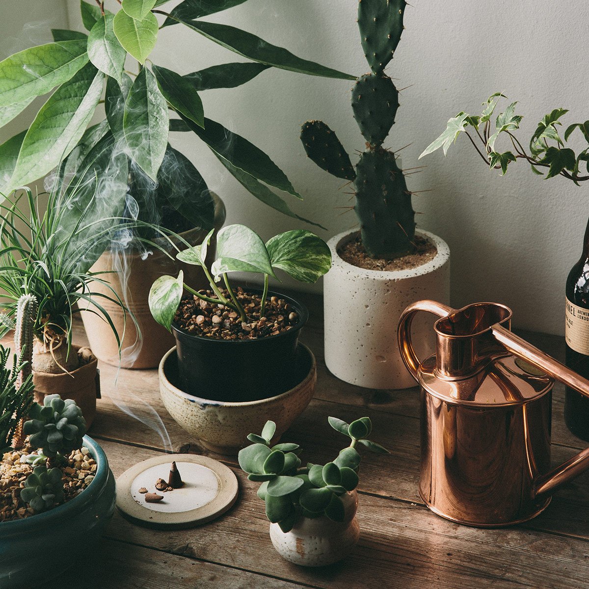 watering can for succulents Copper Watering Can