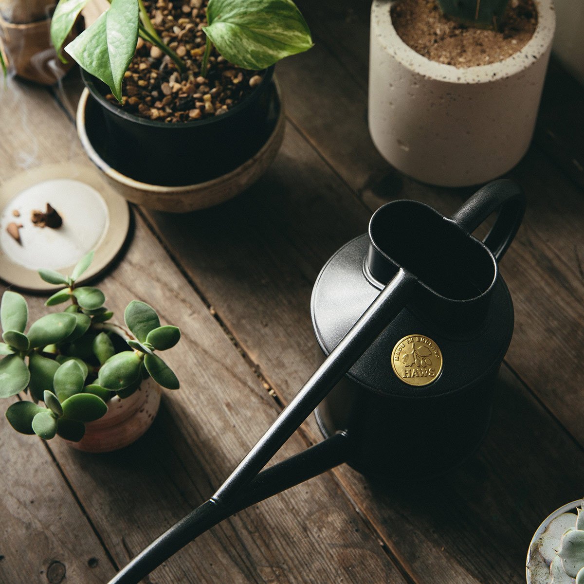 Graphite Watering Can - The Future Kept - 3
