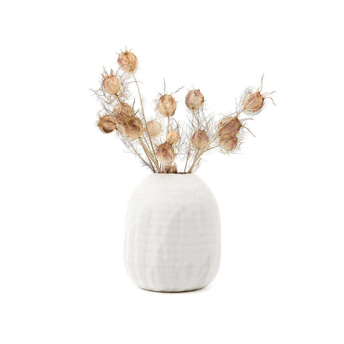 Medium Ceramic Paperwhite Vase