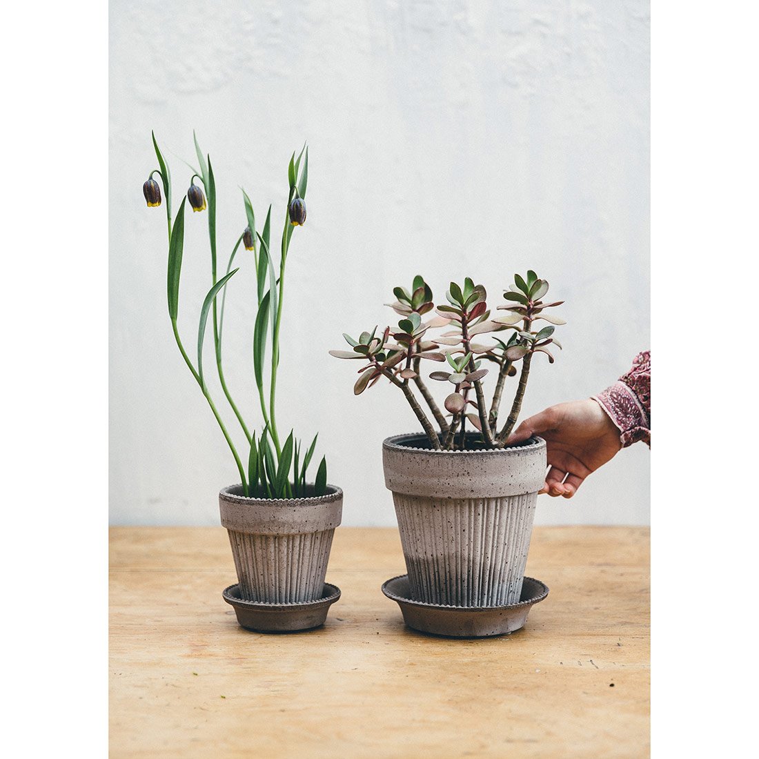 Parisian Antique Grey Plant Pot