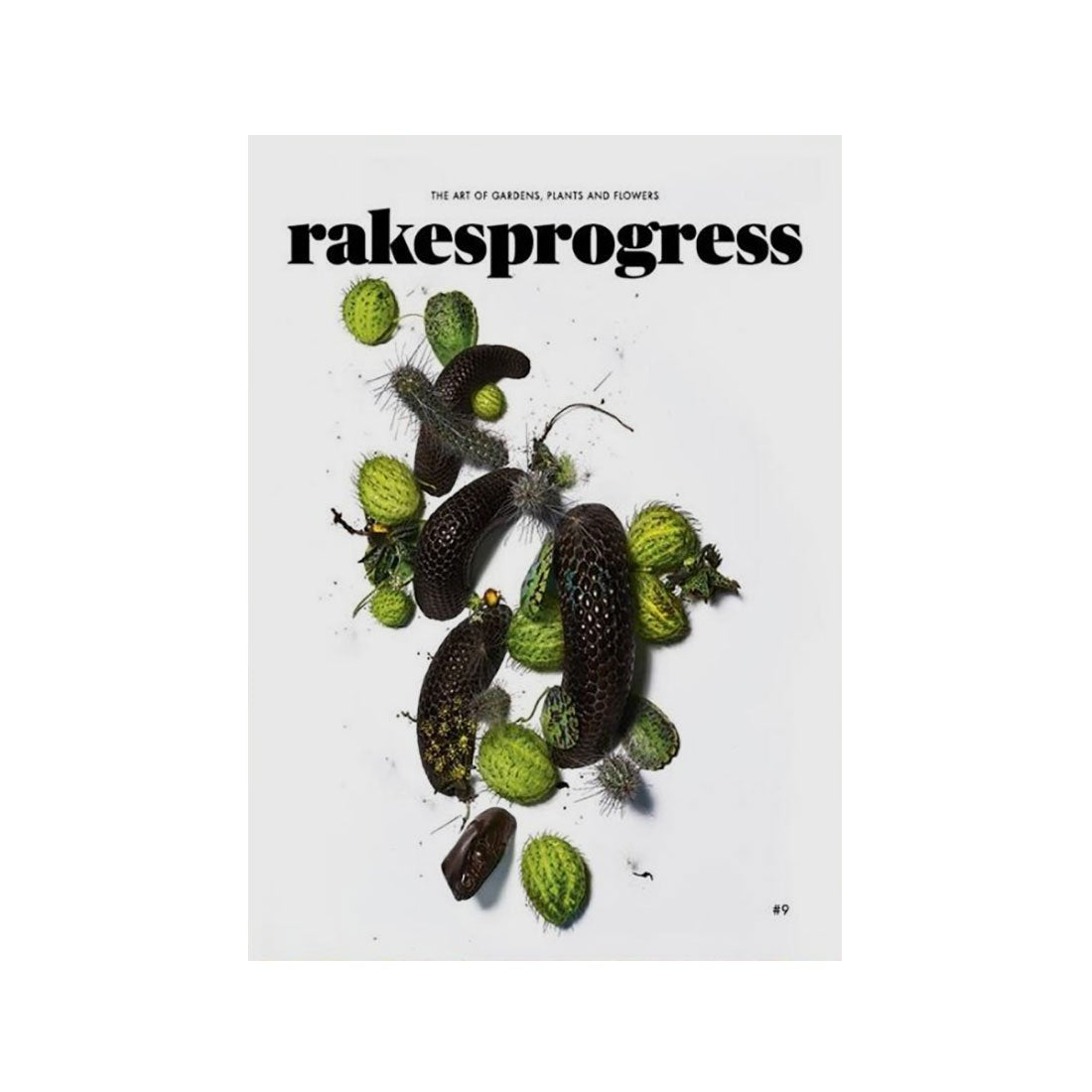 Rakesprogress Volume 9