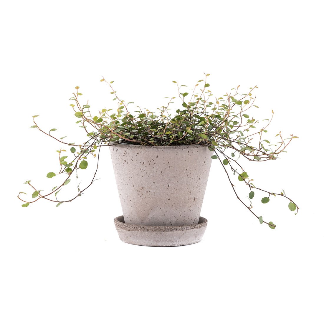 Rustic Antique Grey Plant Pot