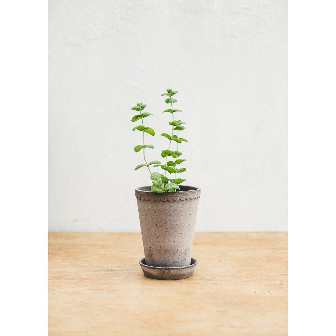 Scalloped Antique Grey Plant Pot