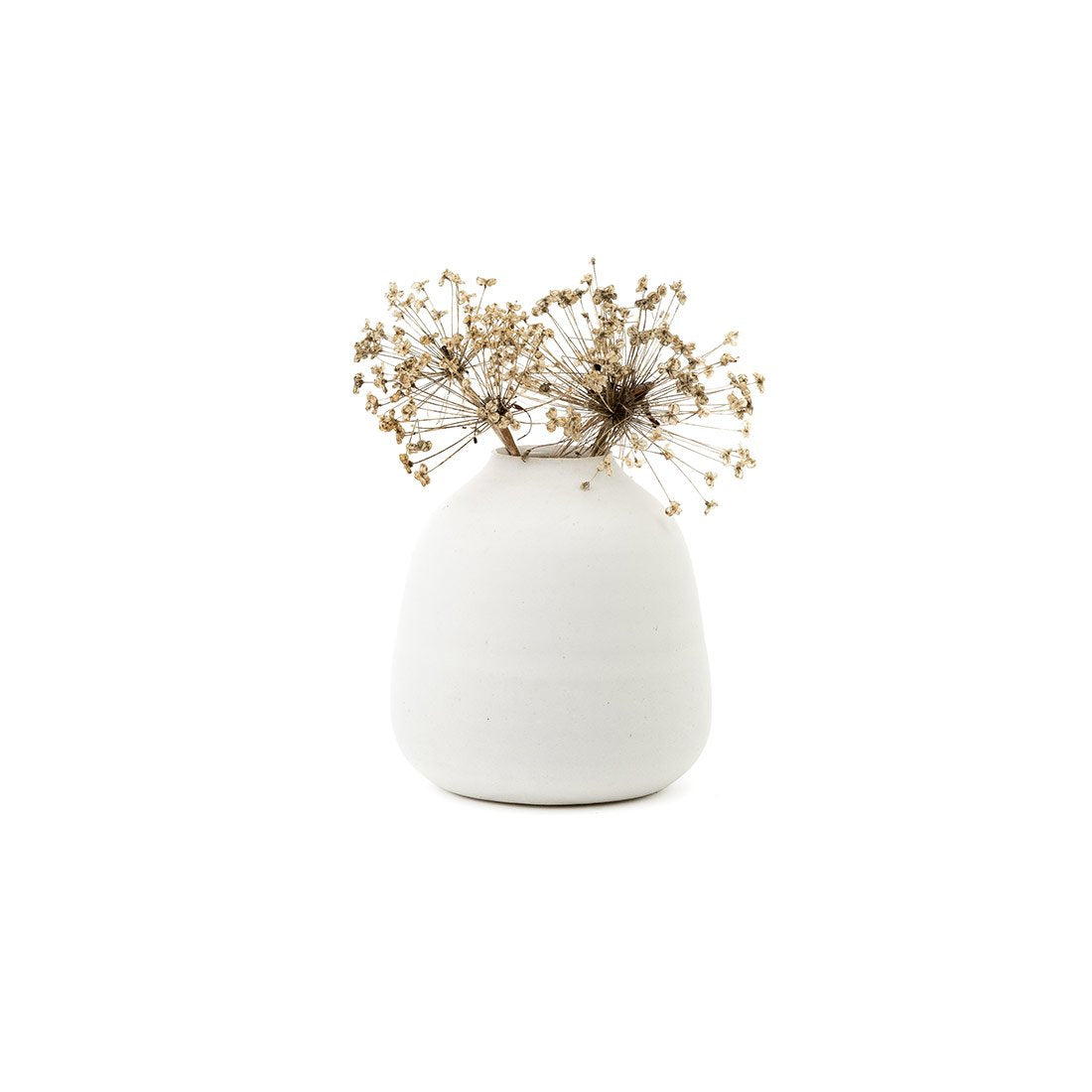Small Ceramic Paperwhite Vase