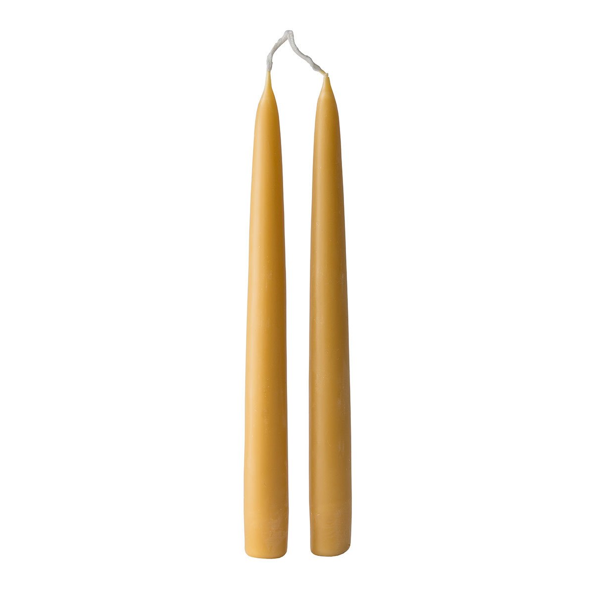 Pure Beeswax Dinner Candles - The Future Kept - 1